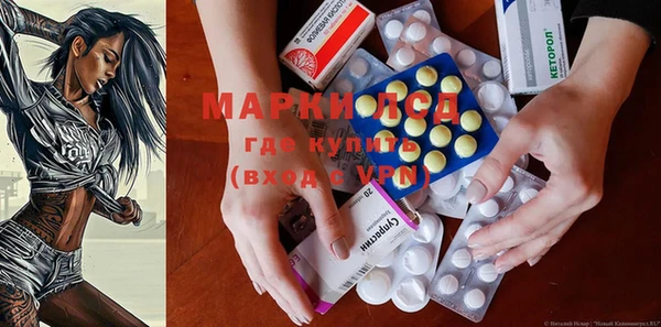 сатива Володарск