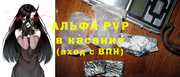 сатива Володарск