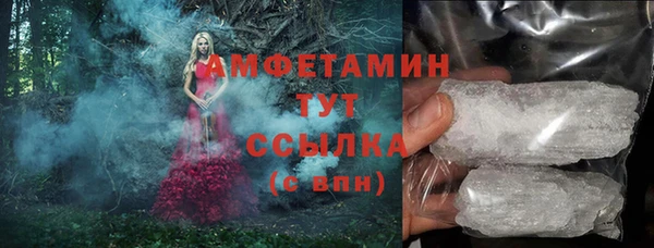 прущий лед Вяземский