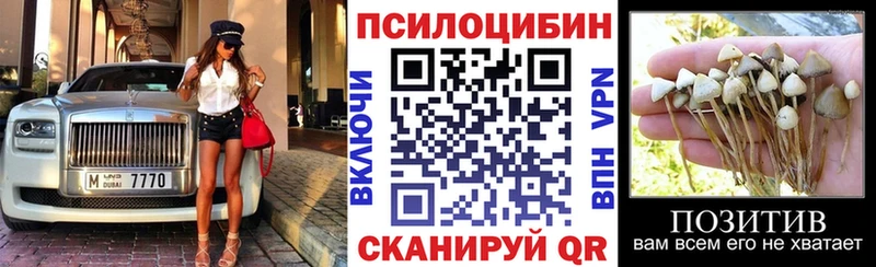 Псилоцибиновые грибы мухоморы  Купить  Каргат 